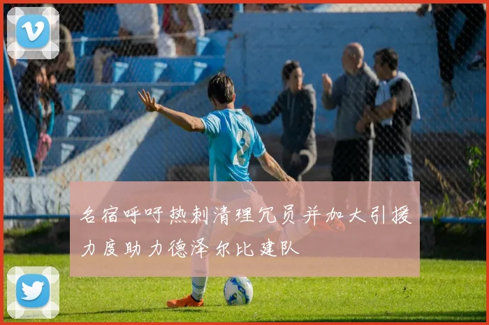 名宿呼吁热刺清理冗员并加大引援力度助力德泽尔比建队